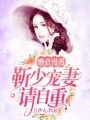 婚意漫漫:靳少寵妻請自重
