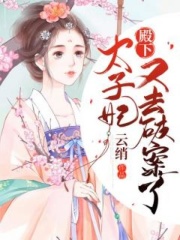 殿下，太孫妃又去破案了！