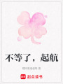 不等了，起航