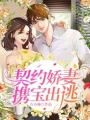 契約嬌妻攜寶出逃