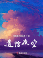 遺拾夜空