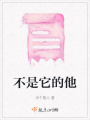 不是它的他