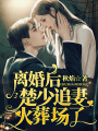 離婚后，楚少追妻火葬場了