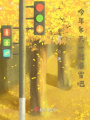 大笨蛋今年冬天一起看雪吧