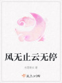 風無止云無停