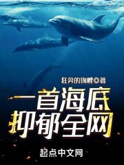 《一首海底，抑郁全网》全集免费在线阅读（白竹季戈）