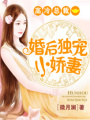 高冷總裁：婚后獨寵小嬌妻