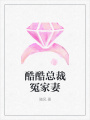 酷酷總裁冤家妻