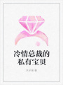 冷情總裁的私有寶貝