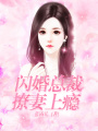 閃婚總裁撩妻上癮