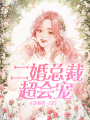 二婚總裁超會寵