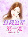 總裁追妻第一寵