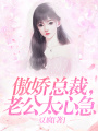 傲嬌總裁，老公太心急