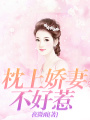 枕上嬌妻不好惹