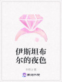 伊斯坦布爾的夜色
