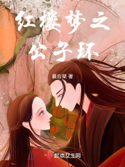 紅樓夢之公子環(huán)