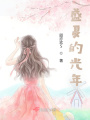 盛夏的光年