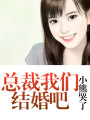 總裁我們結婚吧
