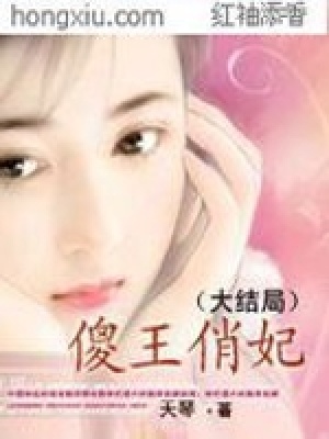 傻王俏妃（全本）