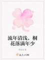 流年清淺，桐花落滿年少
