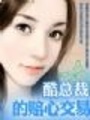 酷總裁的賠心交易（全本）