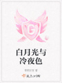 白月光與冷夜色