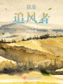 我是追風者