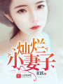 燦爛小妻子