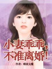 老婆乖乖，不準離婚！