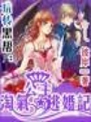 玩轉校園：淘氣公主逃婚記