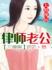 大婚晚辰，律師老公太腹黑