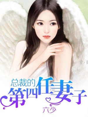 總裁的第四任妻子