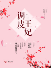 調皮王妃（電視劇原著小說）