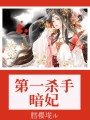 第一殺手暗妃