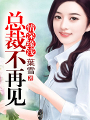 總裁不再見