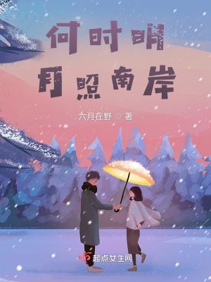 何時(shí)明月照南岸