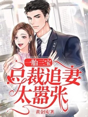 一胎三寶：總裁追妻太囂張