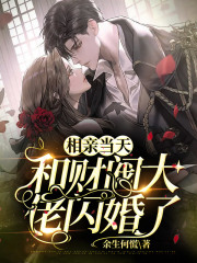 相親當天，和財閥大佬閃婚了
