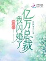 被渣后，我閃婚了億萬(wàn)總裁