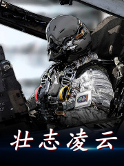 完整版《鹰击长空》在线免费阅读