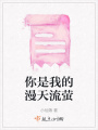 你是我的漫天流螢