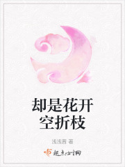 卻是花開空折枝