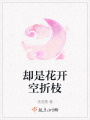 卻是花開空折枝
