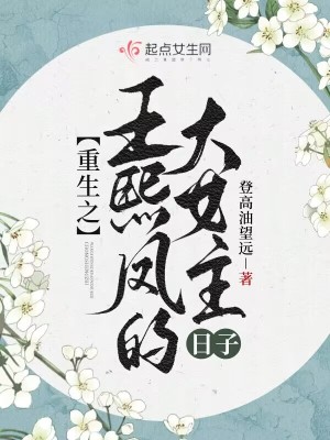 重生之王熙鳳的大女主日子
