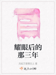 耀眼后的那三年