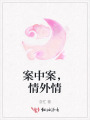 案中案，情外情