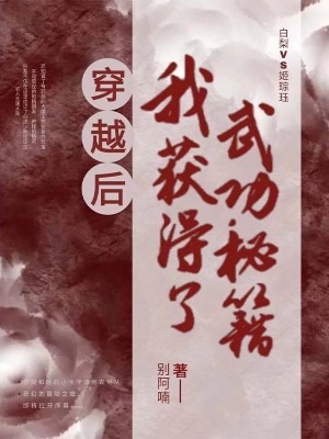 穿越后我獲得了武功秘籍
