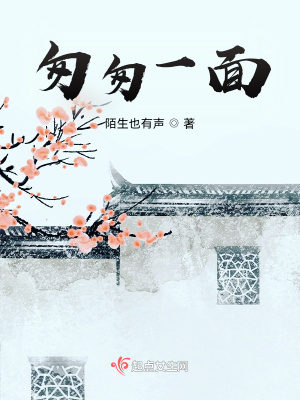匆匆一面