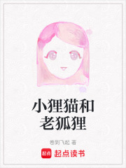 小貍貓和老狐貍