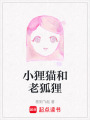 小貍貓和老狐貍